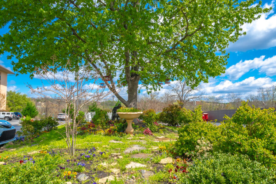 Exterior Landscape